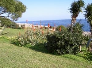 Apartment Sol & Estrellas | Parque Mar | Cala d'Or | Mallorca