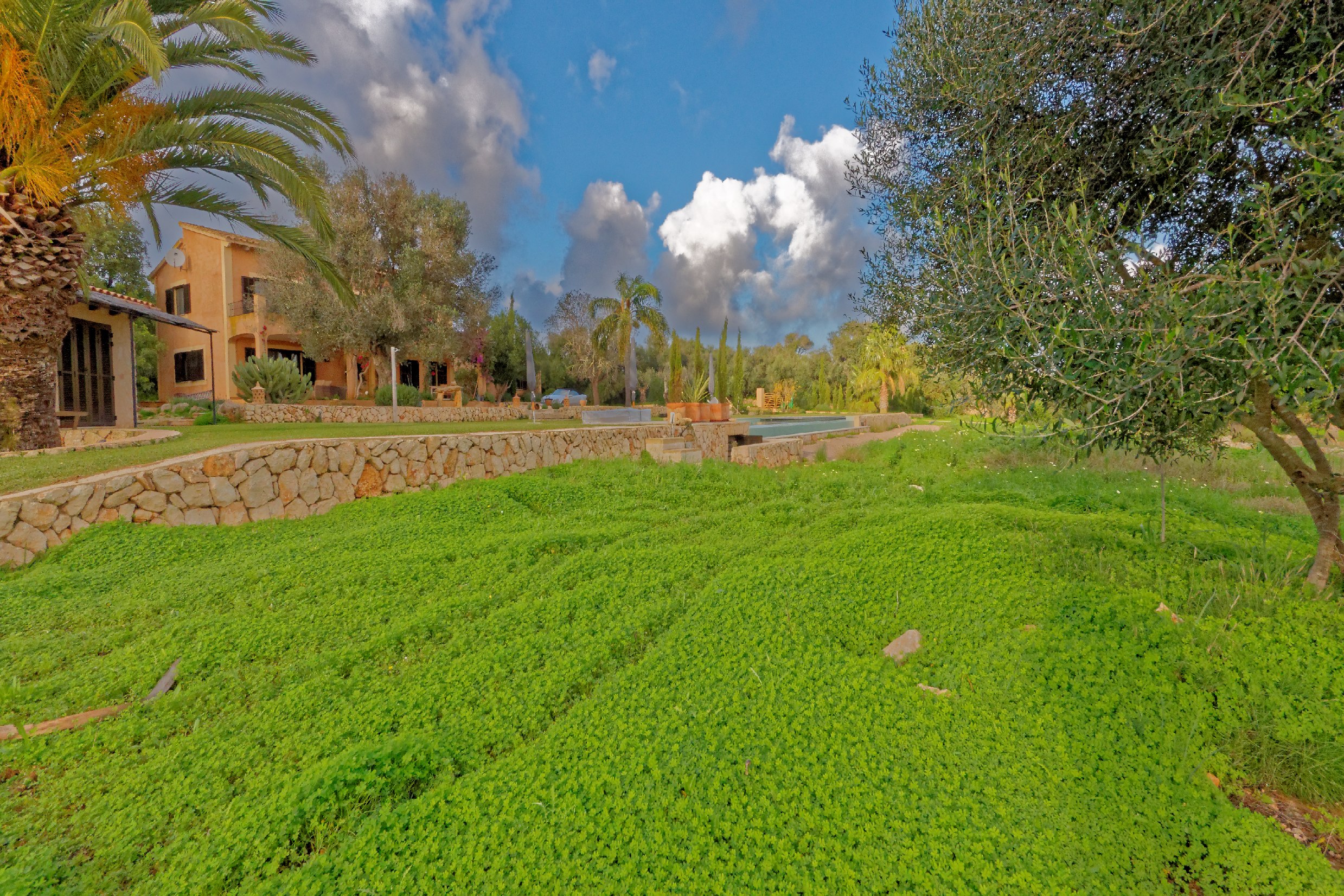 El Retiro Ses Salines | Der Garten im Winter mit grünem Klee