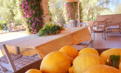 Finca SA VELA | Ses Salines | Mallorca